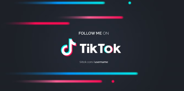 Recover TikTok Account 1